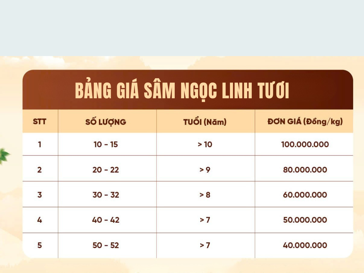 gi&aacute; s&acirc;m Ngọc Linh tươi
